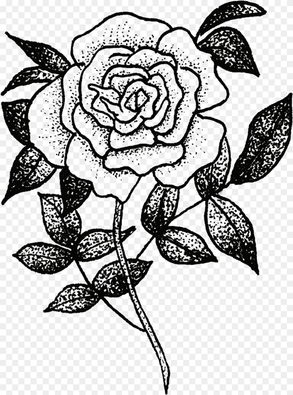 Rose Transparent Tattoos, Pattern Free Png