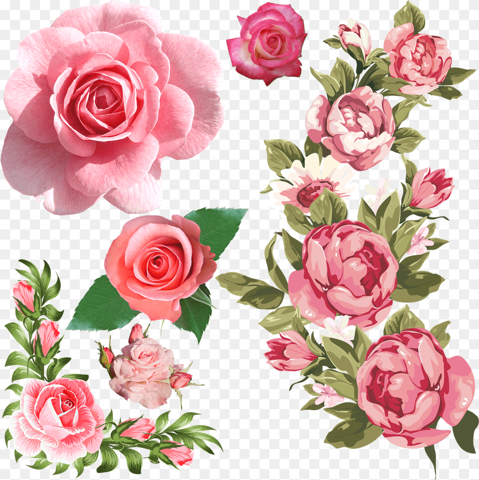 Rose Tumblr Posts Tumbralcom Frame Flower Pink Rose Rose Border, Plant, Petal, Pattern, Flower Arrangement Png