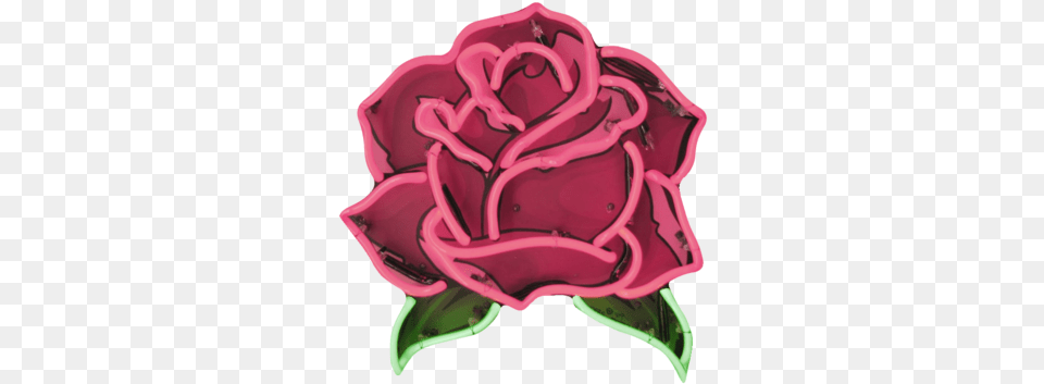 Rose U003c3 Discovered By Thankful Abbi Neon Sign Plant, Petal, Icing, Food Free Transparent Png