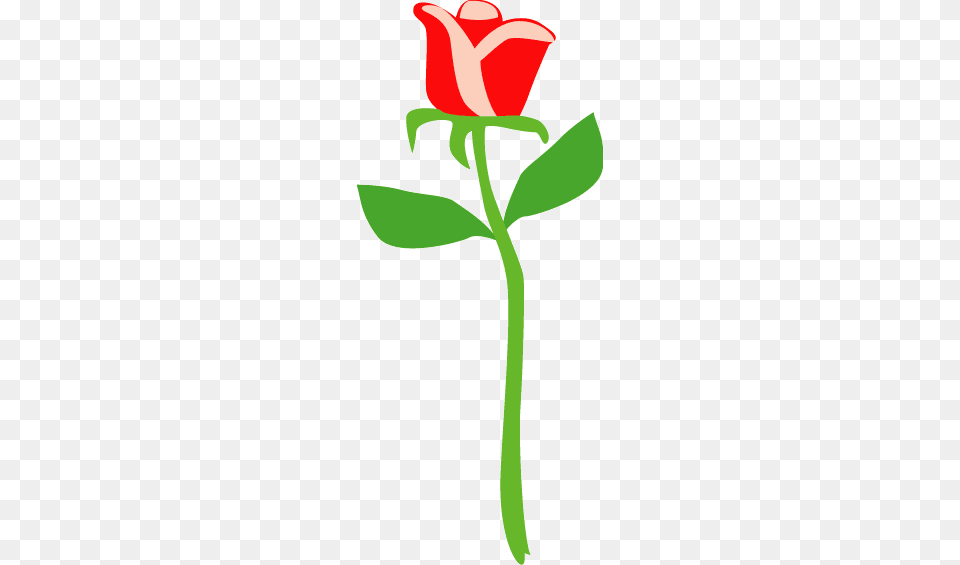 Rose Vector, Flower, Plant, Tulip, Dynamite Png