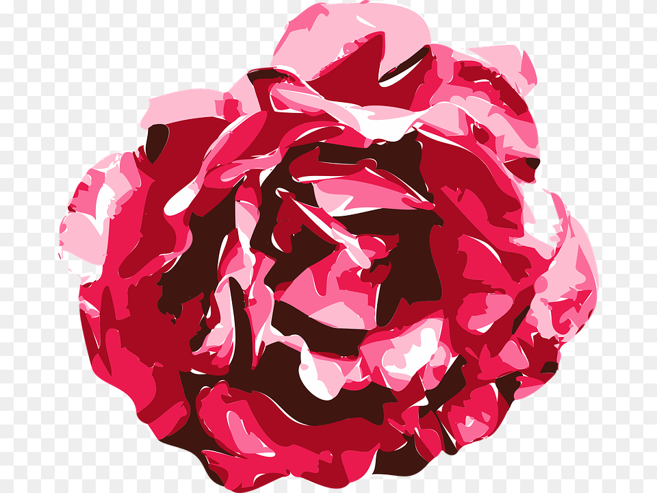 Rose Vector Graphics Drawing Model Texture Red Roses Graphics, Flower, Petal, Plant, Carnation Png