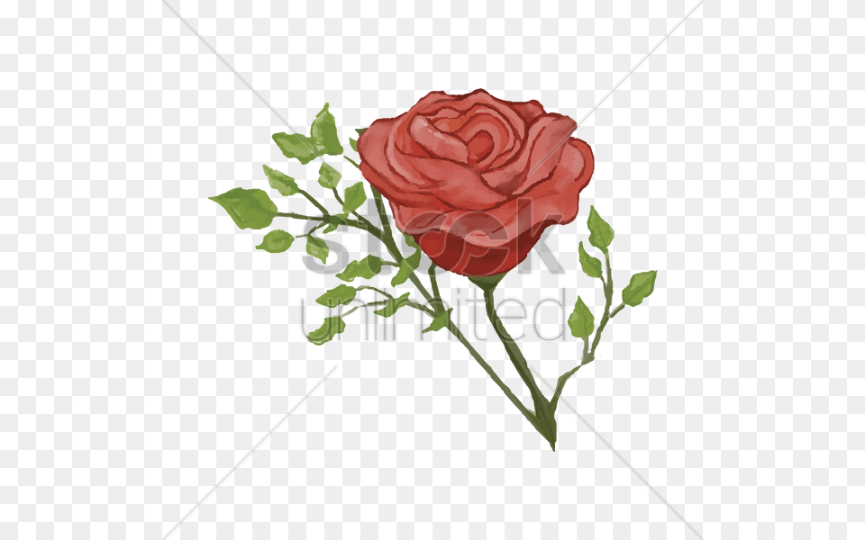 Rose Vector Flower, Plant, Art, Graphics Png Image