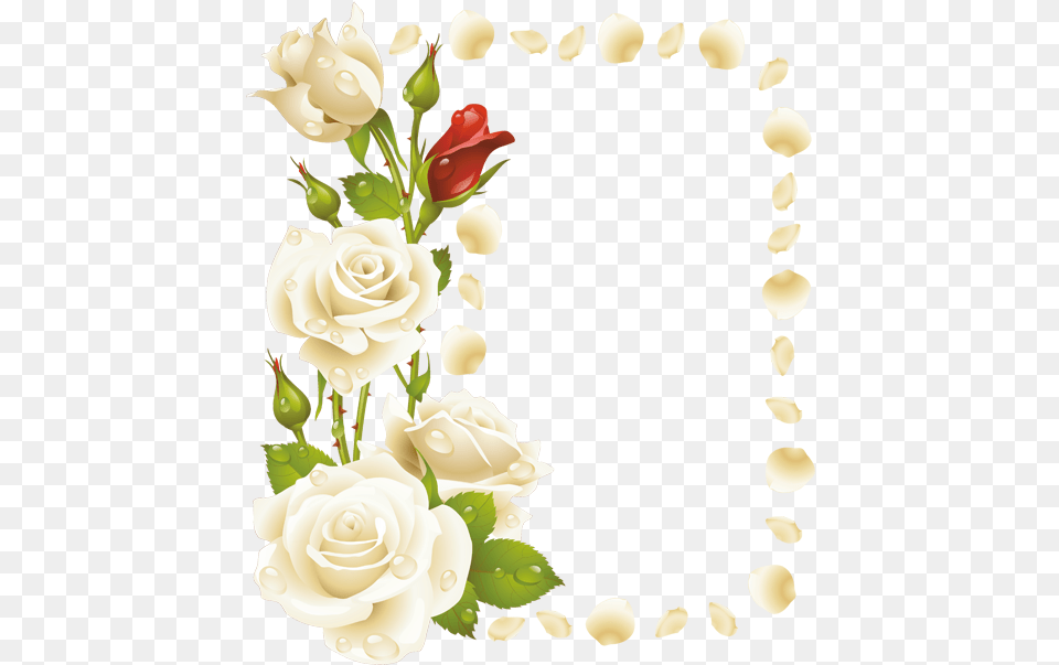 Rose Vine Border Clip Art, Plant, Flower, Flower Arrangement, Flower Bouquet Free Png
