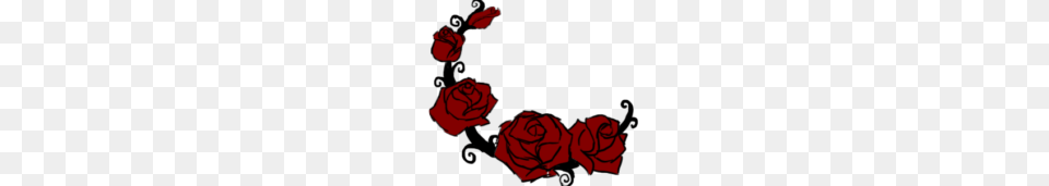 Rose Vine Transparent Vector Flower, Plant, Petal Free Png