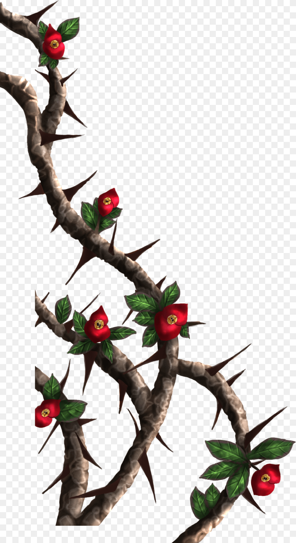 Rose Vines Thorn, Plant, Flower, Flower Arrangement, Tree Free Png Download