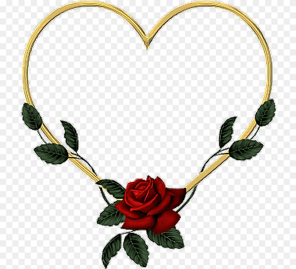 Rose Vines Transparent Heart Of Roses, Flower, Plant, Accessories, Jewelry Png Image