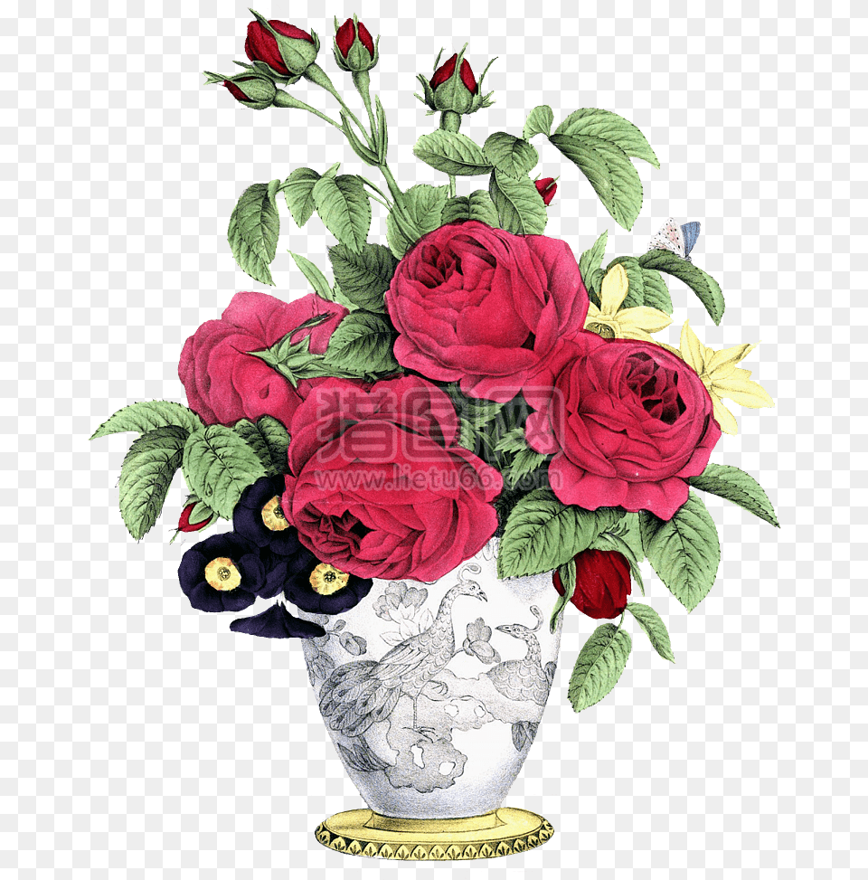 Rose Vintage Decoration Leaf Floral Flower Gift Transparent Vintage Flowers, Art, Plant, Pattern, Graphics Png