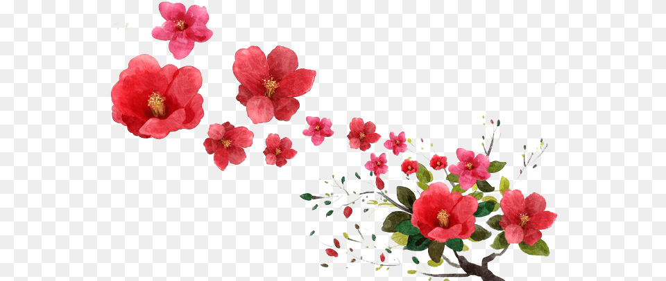 Rose With Petals Falling Falling Flowers, Flower, Petal, Plant, Geranium Free Png Download