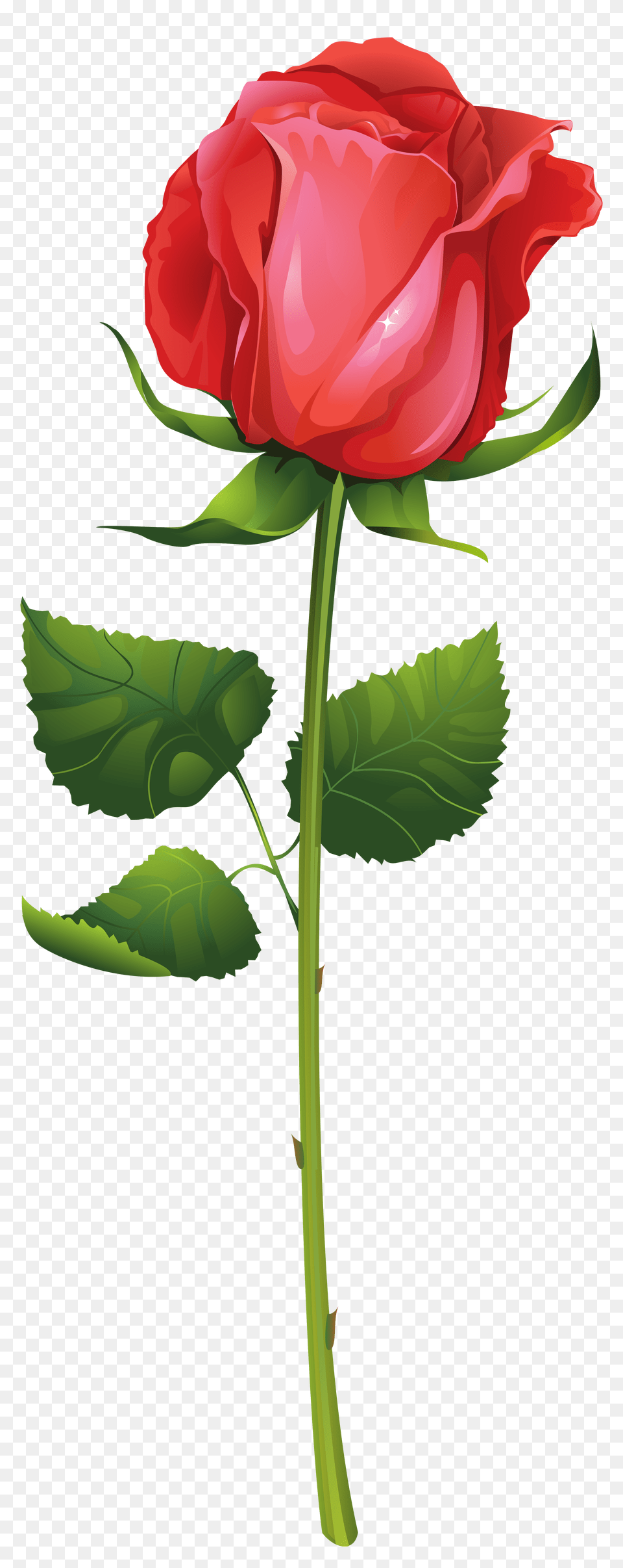 Rose With Stem Clip Art, Flower, Plant Free Transparent Png