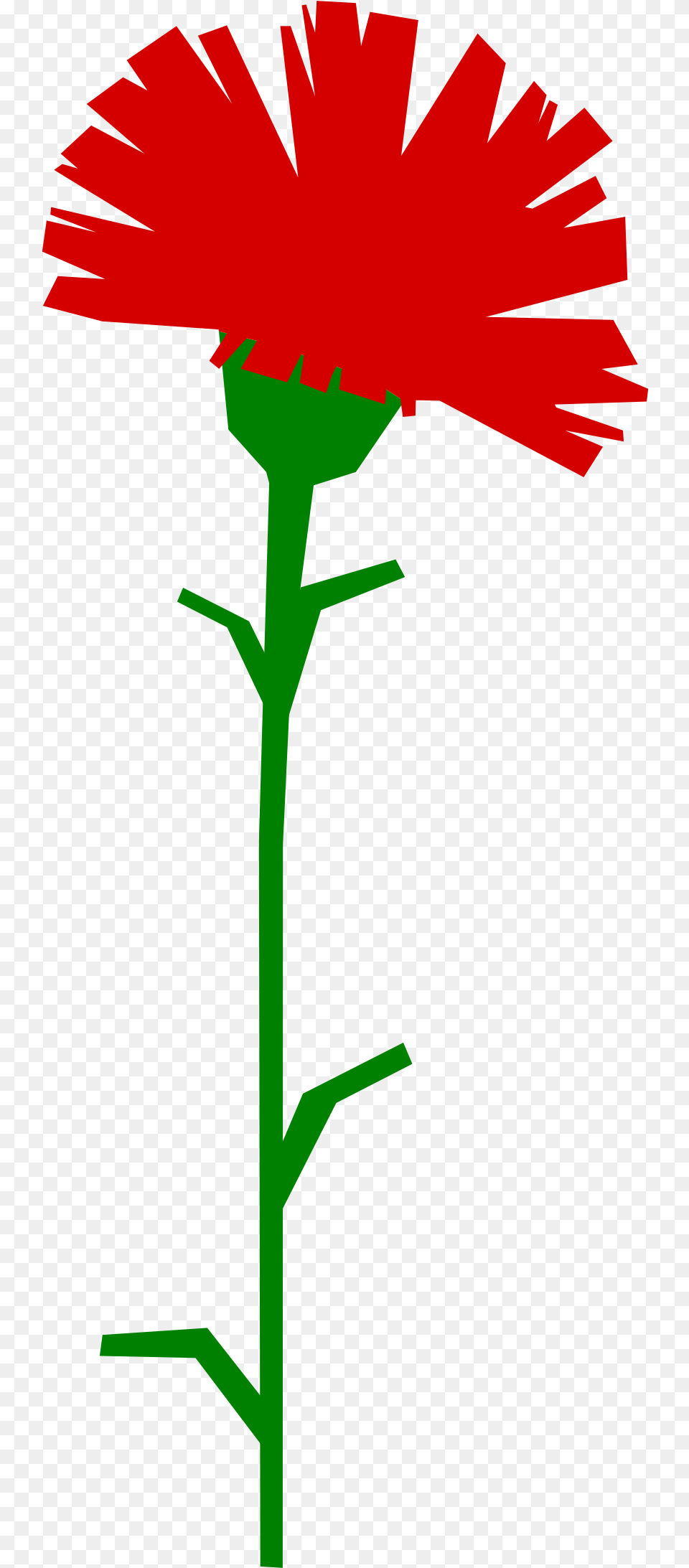 Rose With Thorn Clipart, Carnation, Daisy, Flower, Plant Png Image