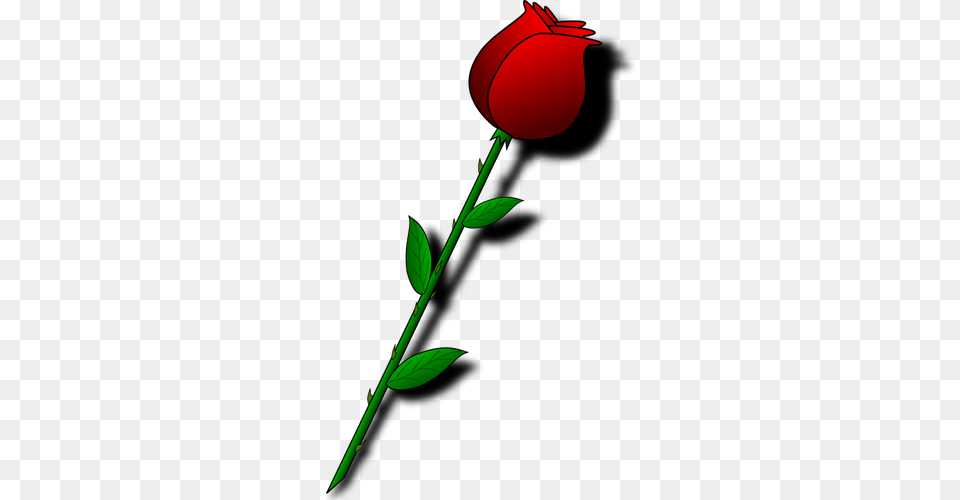 Rose With Thorns, Flower, Petal, Plant Png