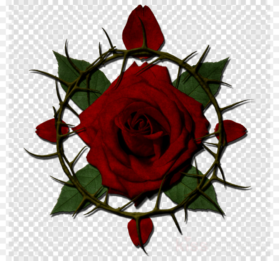 Rose With Thorns Clipart, Flower, Pattern, Plant Free Png