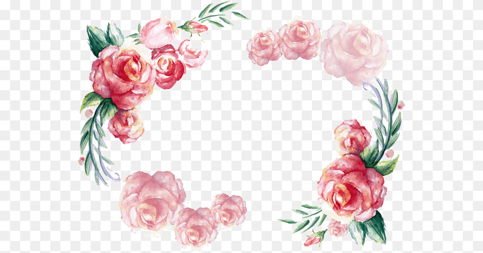 Rose X Watercolor Frame Clipart Vector Transparent Invitations Cards Pink Design, Flower, Plant, Art, Floral Design Free Png Download
