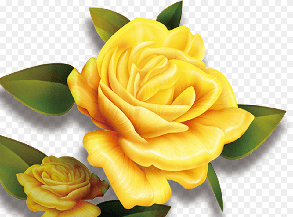 Rose Yellow Flower High Transparent Background Yellow Flower, Petal, Plant Png Image
