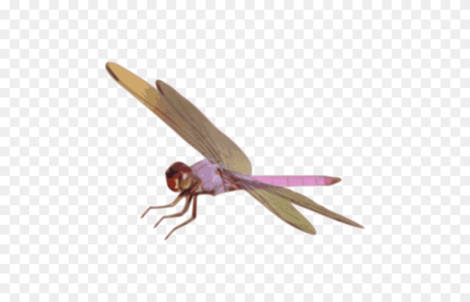 Roseate, Animal, Blade, Dagger, Dragonfly Free Png