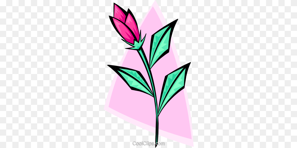 Rosebud, Bud, Flower, Leaf, Plant Free Png Download