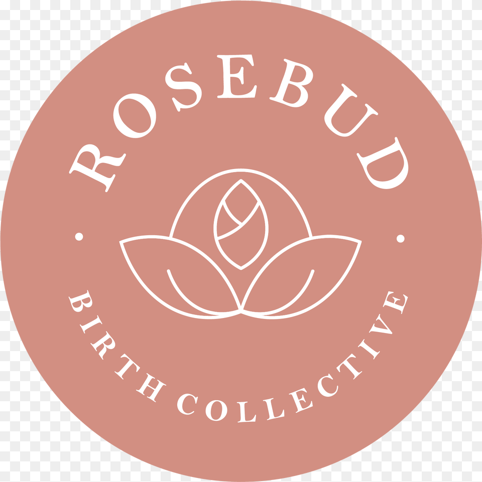 Rosebud Birth Collective Camera Icon, Disk, Logo Free Png