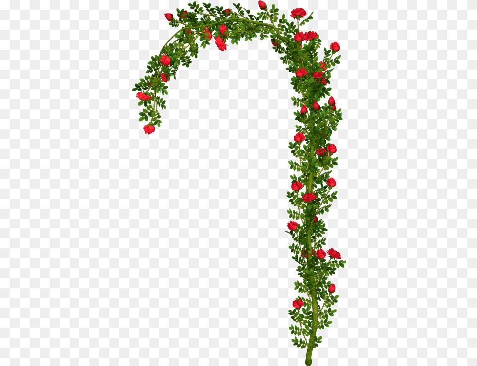 Rosebush Arch Element Clipart Picture Arch Roses, Architecture, Flower, Plant, Rose Free Transparent Png