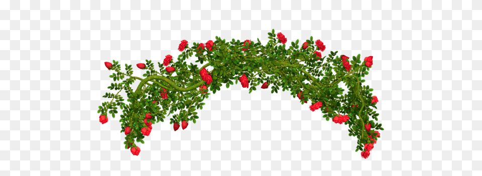 Rosebush Element Clipart, Pattern, Plant, Arch, Architecture Free Png Download