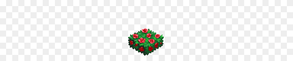 Rosebush Art, Rose, Plant, Pattern Png Image