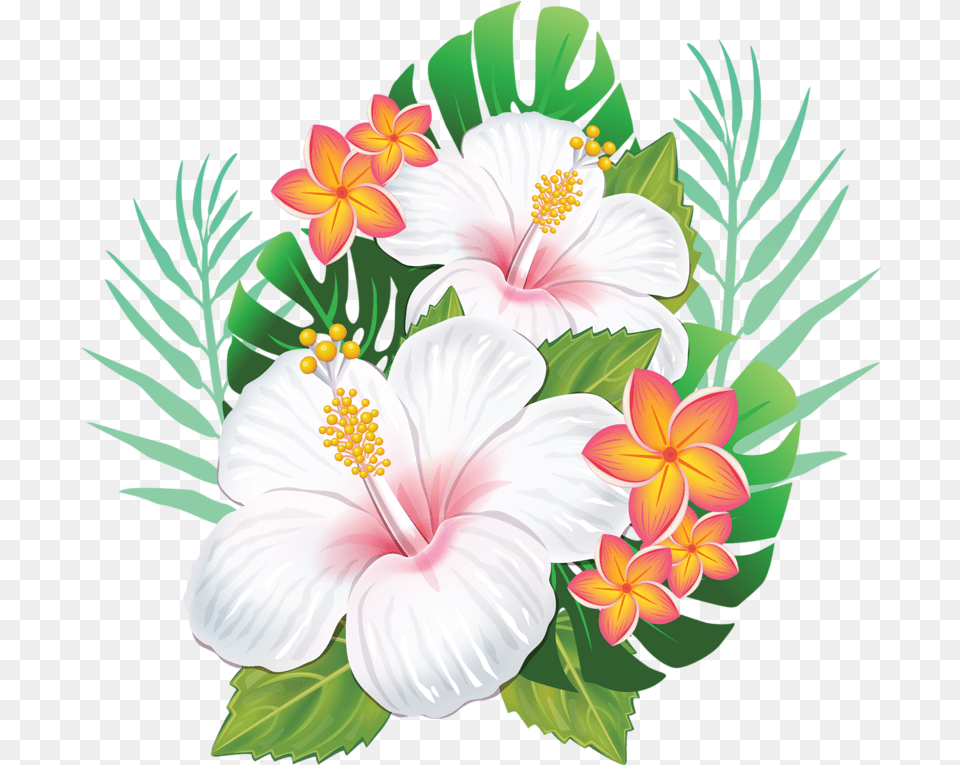 Rosemallows Hawaiian Hibiscus Flower Transparent Hawaiian Flowers, Plant, Pattern, Art, Floral Design Free Png