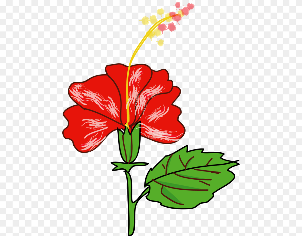 Rosemallows Shrub Hawaii Drawing Flower, Hibiscus, Plant, Dynamite, Weapon Free Png