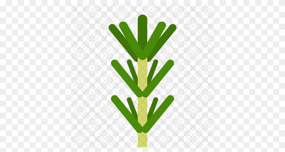 Rosemary Icon Vertical, Green, Plant, Tree, Festival Free Png