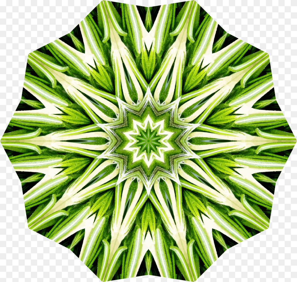 Rosemary Kaleidoscope Icons, Plant, Green, Pattern, Leaf Png