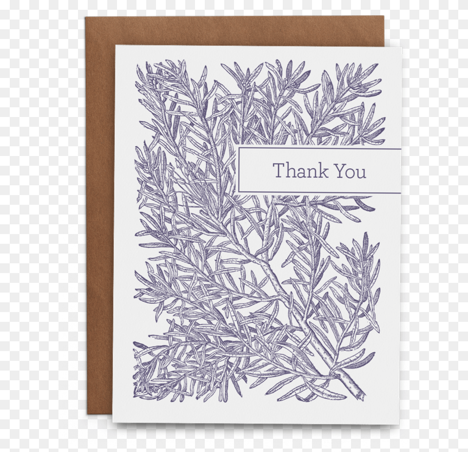 Rosemary Thank You Paper, Plant, Art, Drawing, Ice Free Png Download