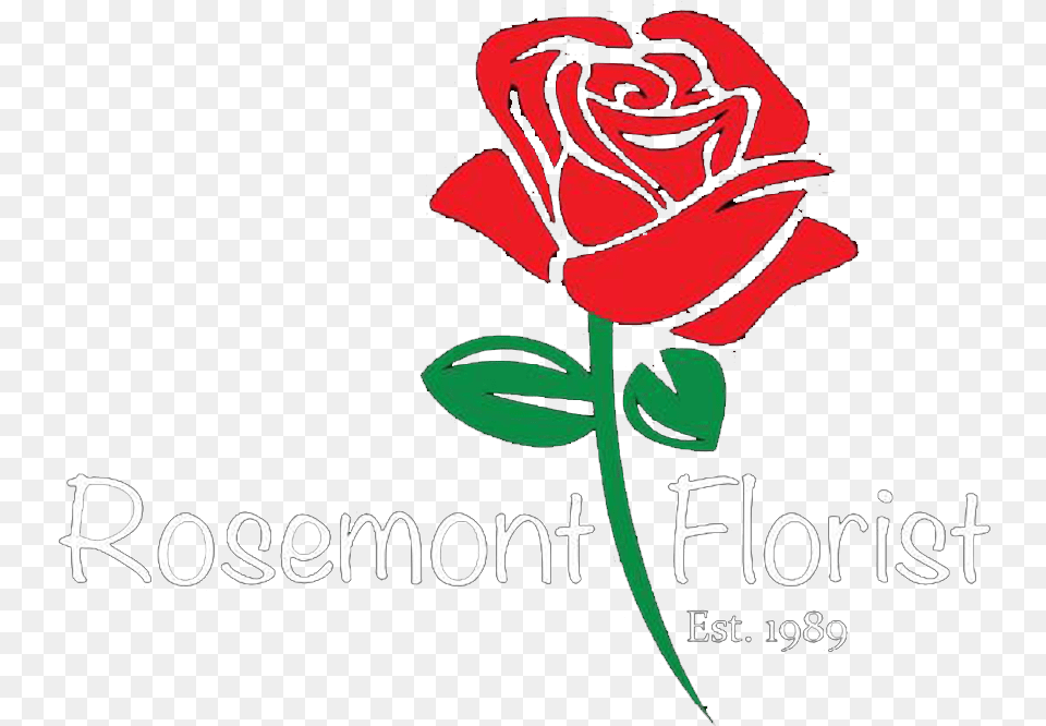 Rosemont Il Florist Stemconnector, Flower, Plant, Rose Free Transparent Png