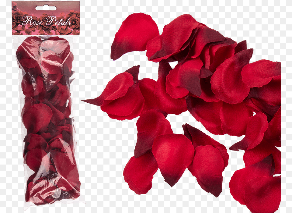 Rosenblad, Flower, Petal, Plant, Rose Free Png