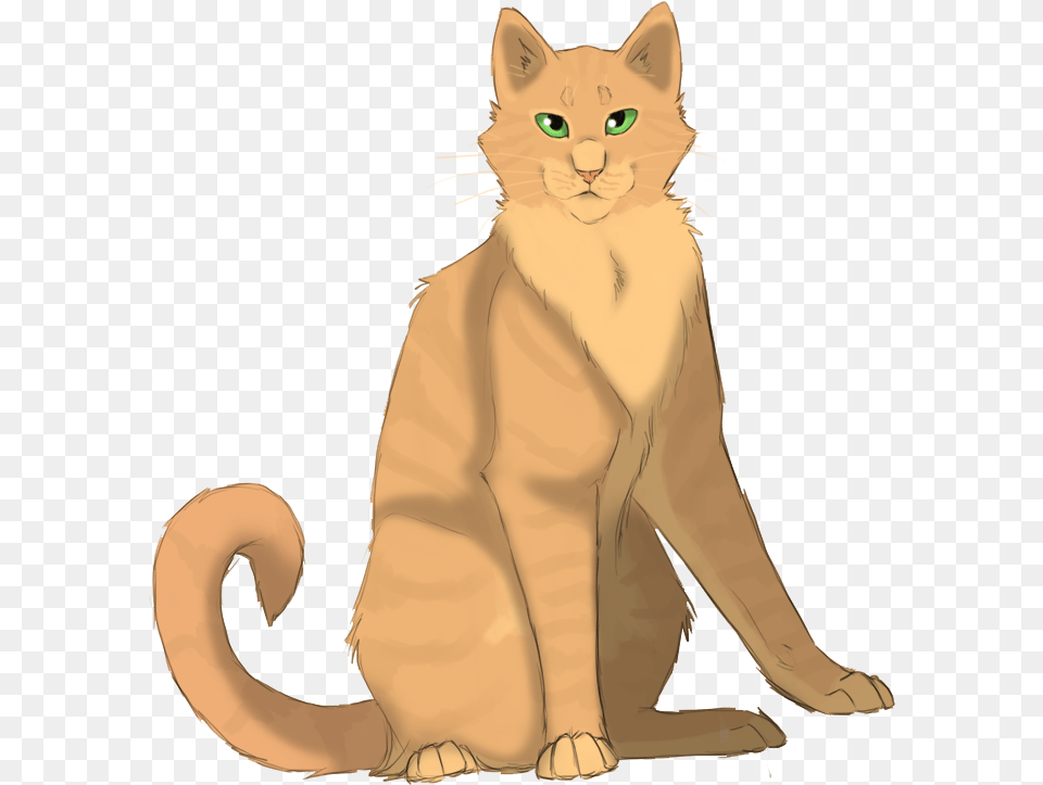 Rosepetal Warrior Cats Rosepetal, Abyssinian, Animal, Cat, Mammal Free Transparent Png