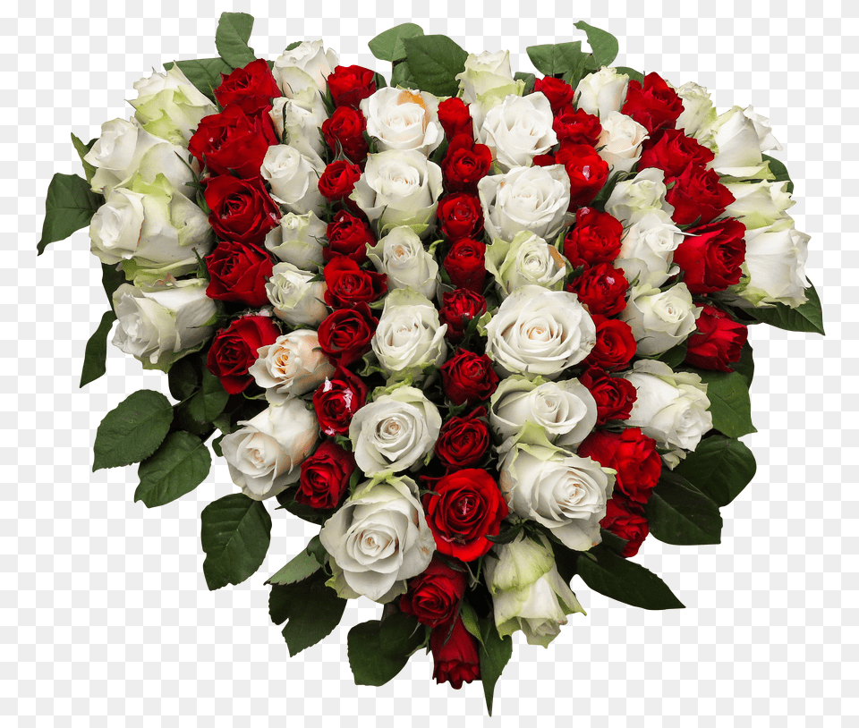 Roses Clip Png