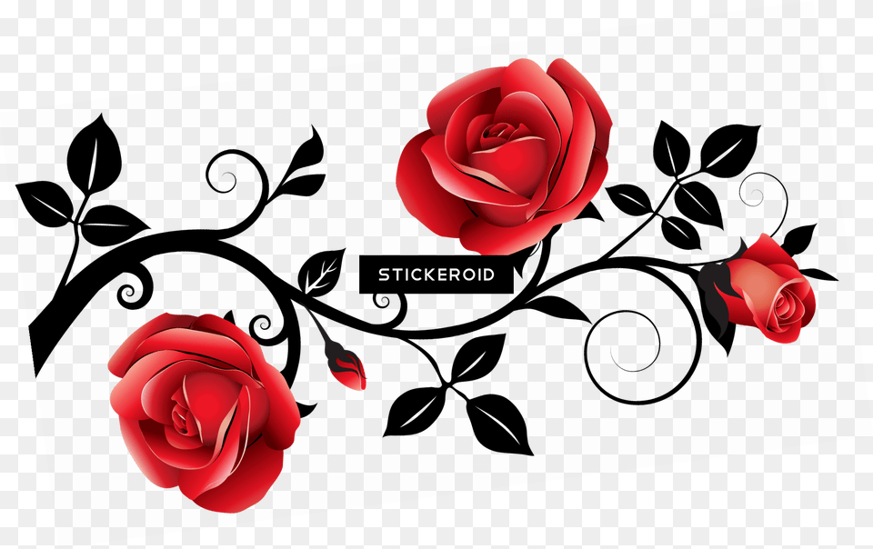 Roses, Flower, Petal, Plant, Rose Free Png Download