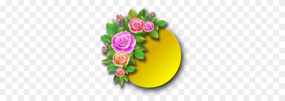 Roses Art, Flower, Flower Arrangement, Flower Bouquet Png Image