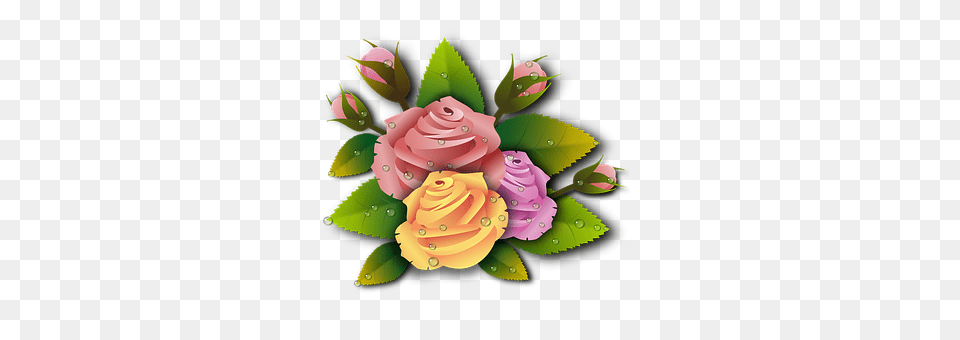Roses Art, Floral Design, Flower, Flower Arrangement Png Image