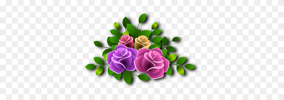 Roses Art, Plant, Pattern, Rose Free Png Download