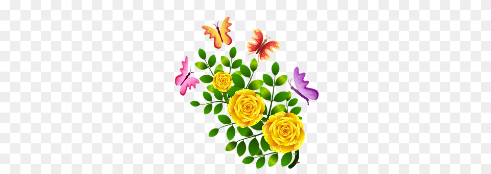 Roses Art, Floral Design, Flower, Flower Arrangement Png Image