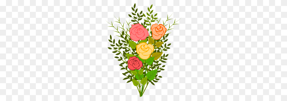 Roses Art, Floral Design, Flower, Graphics Png