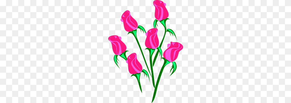 Roses Flower, Plant, Rose, Art Free Png Download
