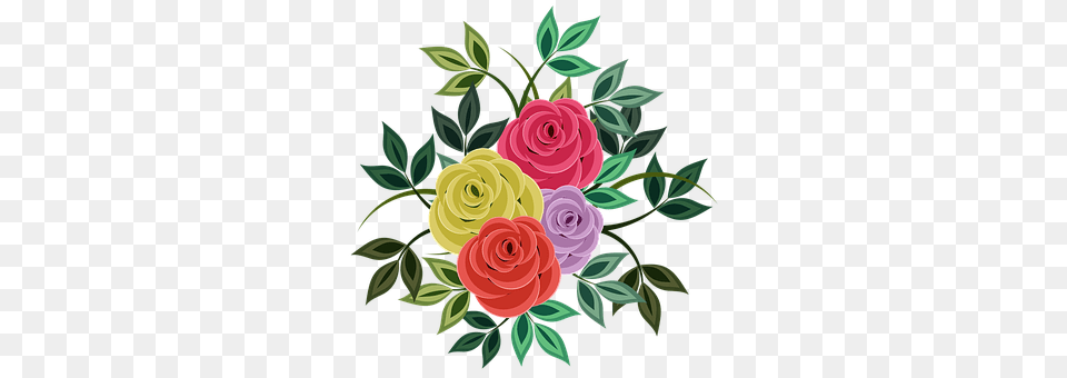 Roses Art, Plant, Pattern, Graphics Free Png