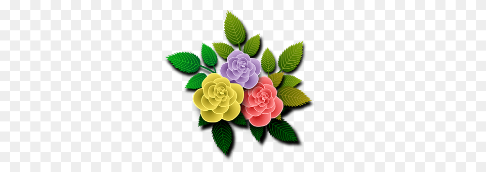 Roses Art, Dahlia, Floral Design, Flower Free Png