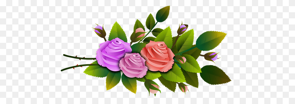 Roses Art, Floral Design, Flower, Graphics Free Transparent Png