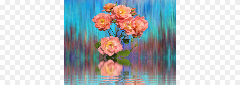 Roses Art, Plant, Graphics, Geranium Png Image