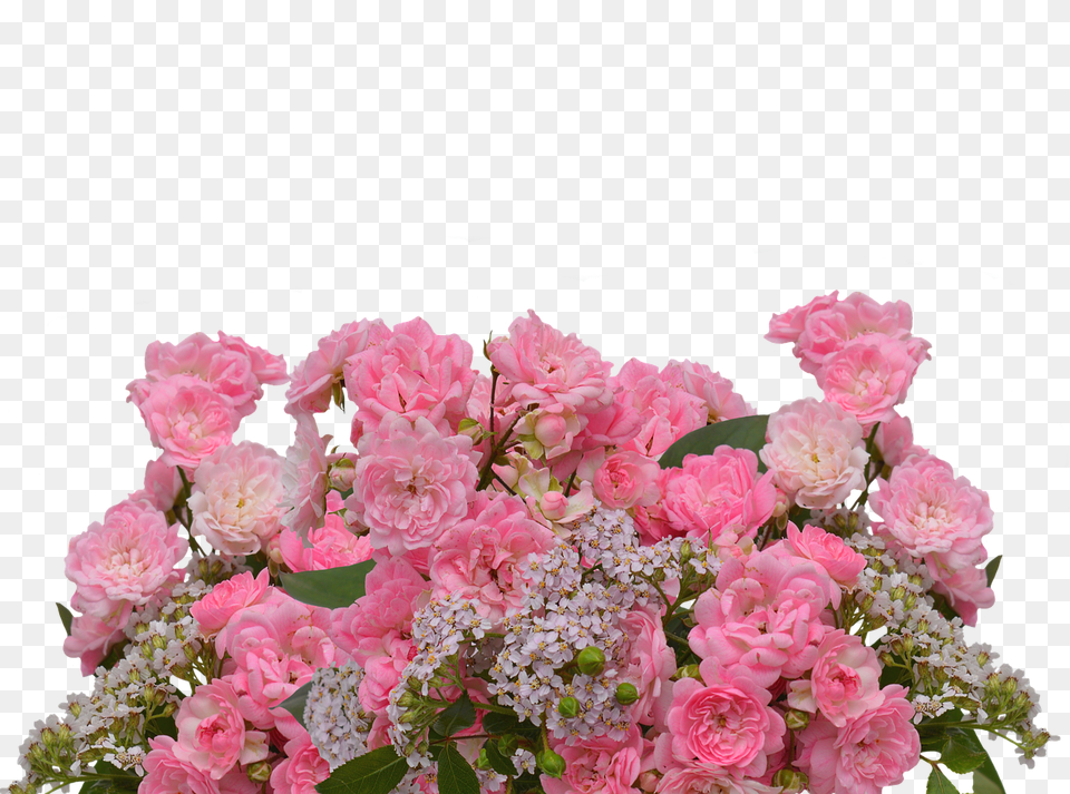 Roses Flower, Flower Arrangement, Flower Bouquet, Plant Free Png Download