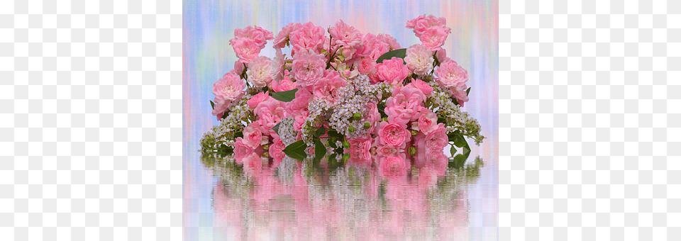 Roses Flower, Flower Arrangement, Flower Bouquet, Plant Free Transparent Png