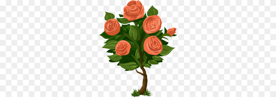 Roses Art, Rose, Plant, Pattern Free Png Download