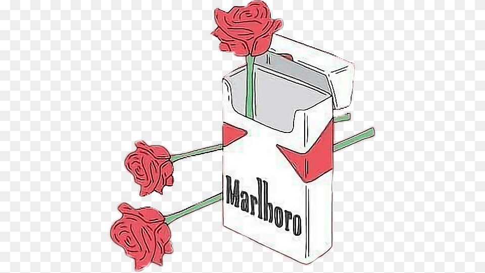 Roses Aesthetic Cigarette Cigarettes Smoking Flowers, Flower, Plant, Rose Free Png Download