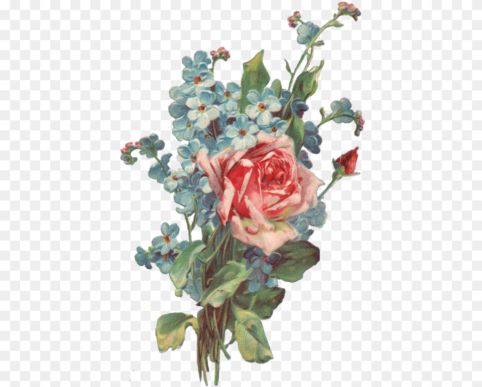 Roses And Forget Me Not Bouquet Aesthetic Flower Drawing, Art, Plant, Pattern, Graphics Free Transparent Png