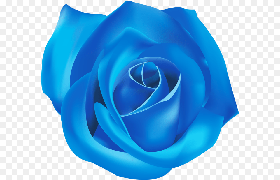 Roses Blue, Flower, Plant, Rose Free Transparent Png